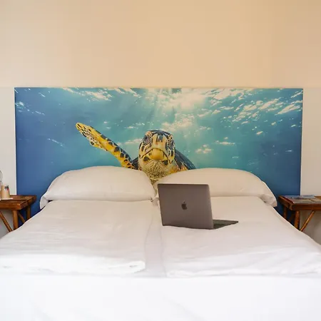 Mediterraneo Hotel 4*