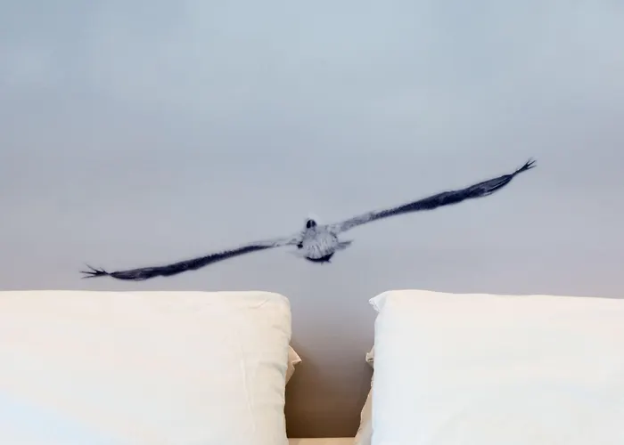 Ξενοδοχείο Mediterraneo