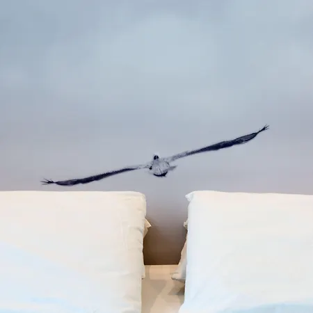 Отель Mediterraneo